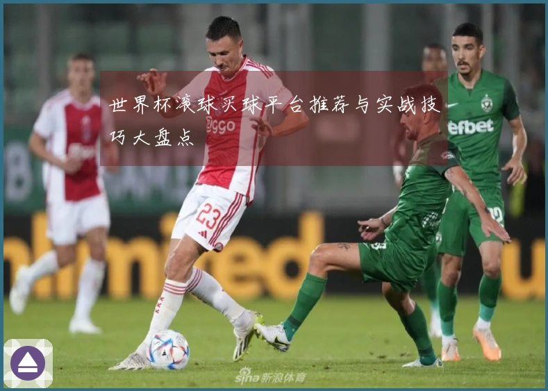 世界杯滚球买球平台推荐与实战技巧大盘点