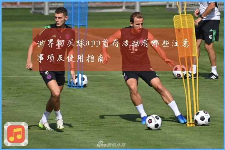 世界杯买球app首存活动有哪些注意事项及使用指南