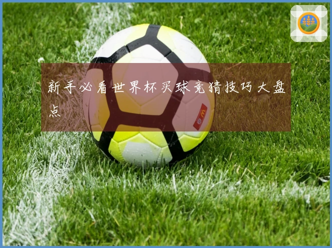 新手必看世界杯买球竞猜技巧大盘点