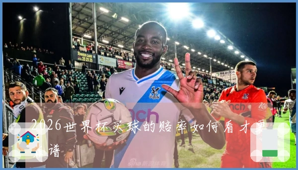 2026世界杯买球的赔率如何看才更靠谱