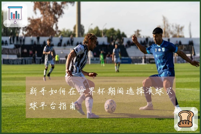 新手如何在世界杯期间选择滚球买球平台指南