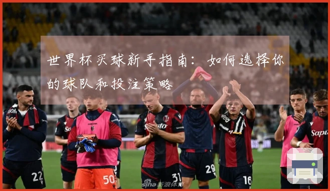 世界杯买球新手指南：如何选择你的球队和投注策略