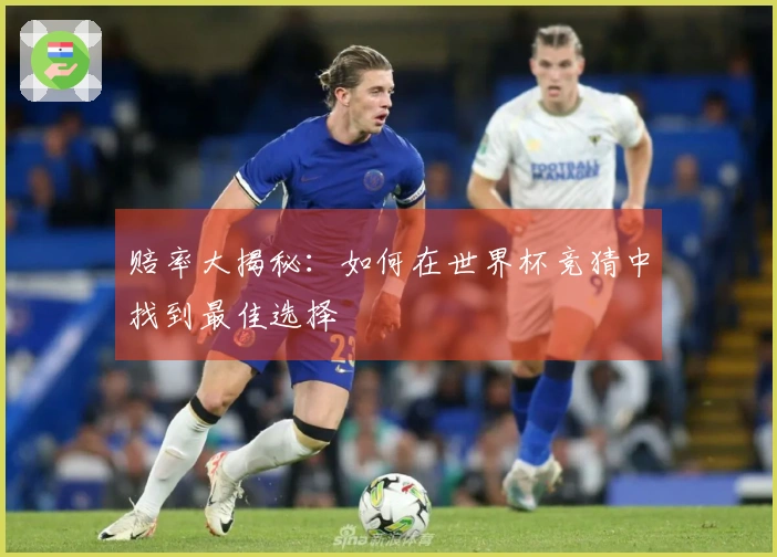 赔率大揭秘：如何在世界杯竞猜中找到最佳选择