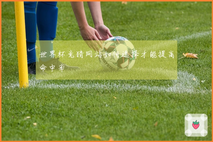 世界杯竞猜网站如何选择才能提高命中率