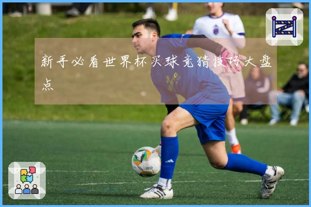 新手必看世界杯买球竞猜技巧大盘点