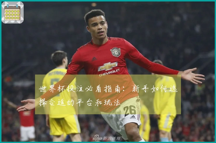 世界杯投注必看指南:新手如何选择合适的平台和玩法