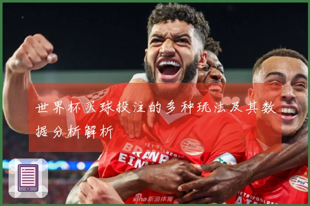 世界杯买球投注的多种玩法及其数据分析解析
