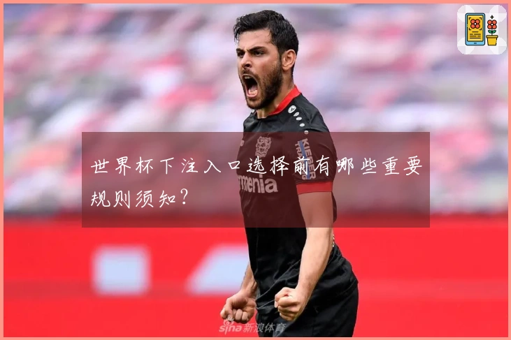 世界杯下注入口选择前有哪些重要规则须知?