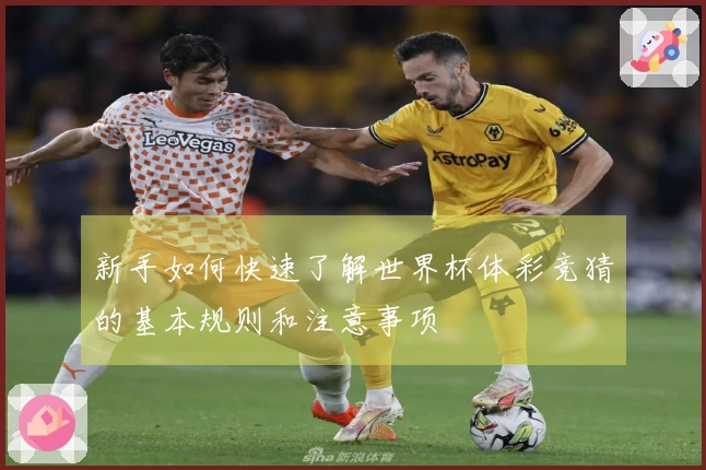 新手如何快速了解世界杯体彩竞猜的基本规则和注意事项
